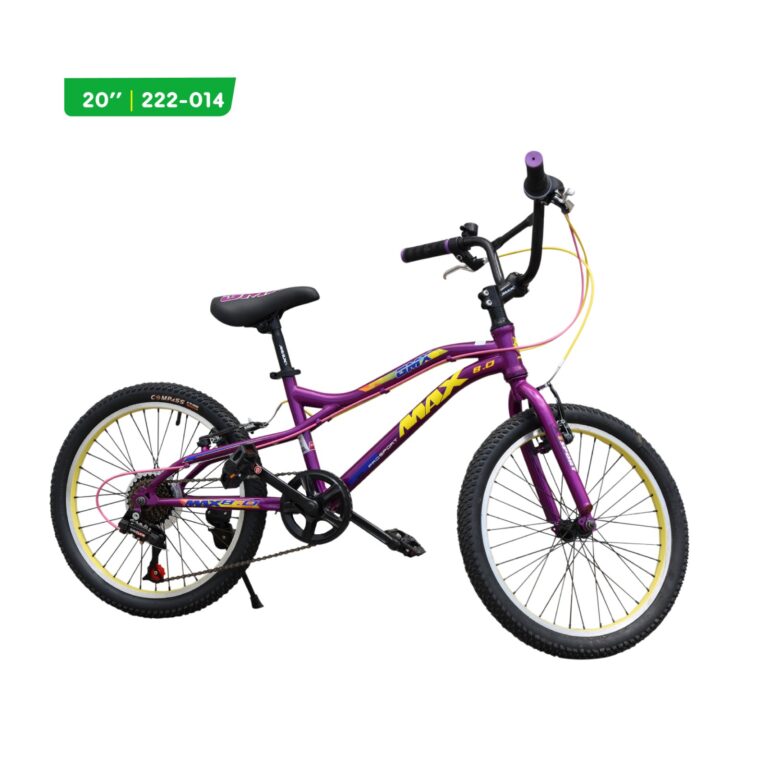 Biçikletë MAX BIKE 20″GMX VIOLET
