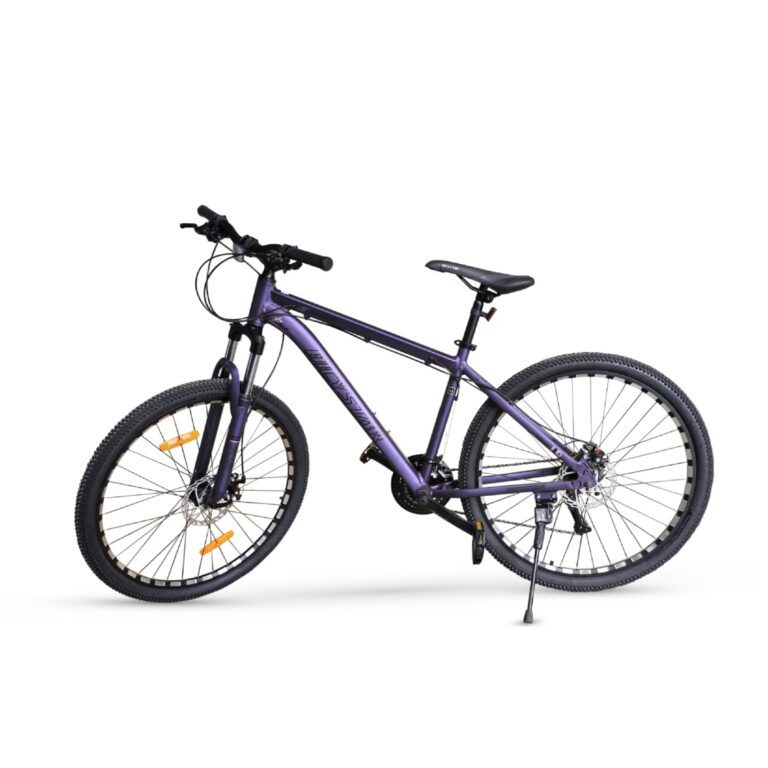 Biçikletë Bicystar 29″ Purple